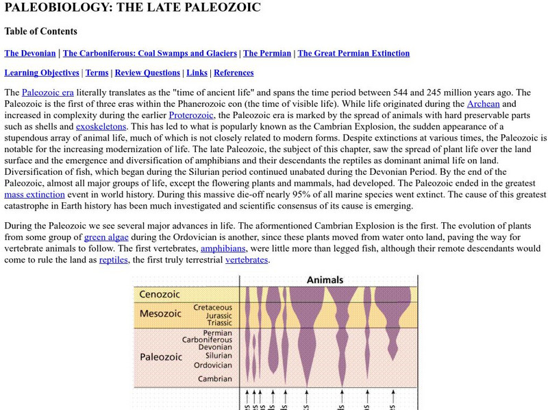 Online Biology Book: Paleobiology: The Late Paleozoic Website Online Biology Book: Paleobiology: The Late Paleozoic Website