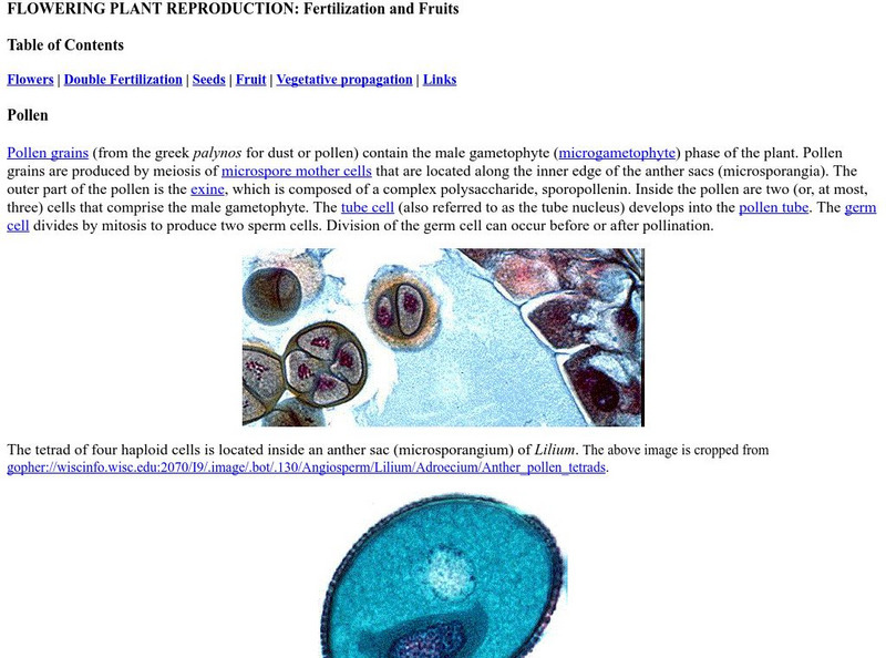 Estrella Mountain Community College: Fertilization and Fruits eBook Estrella Mountain Community College: Fertilization and Fruits eBook
