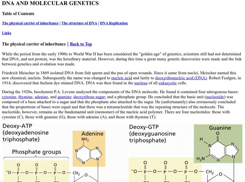 Online Biology Book: Dna and Molecular Genetics Handout Online Biology Book: Dna and Molecular Genetics Handout