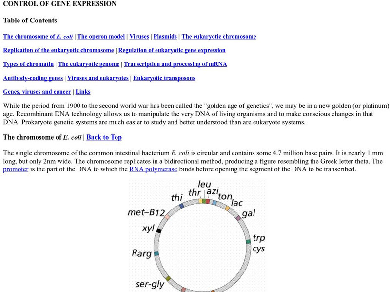 Online Biology Book: Control of Gene Expression Handout Online Biology Book: Control of Gene Expression Handout