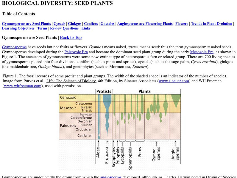 Online Biology Book: Biological Diversity: Seed Plants eBook Online Biology Book: Biological Diversity: Seed Plants eBook