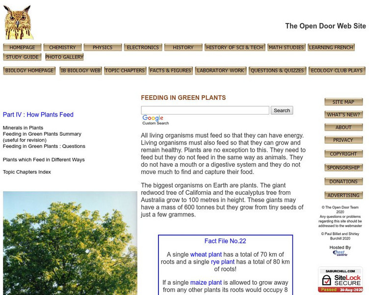 Open Door Web Site: Feeding in Green Plants Handout Open Door Web Site: Feeding in Green Plants Handout