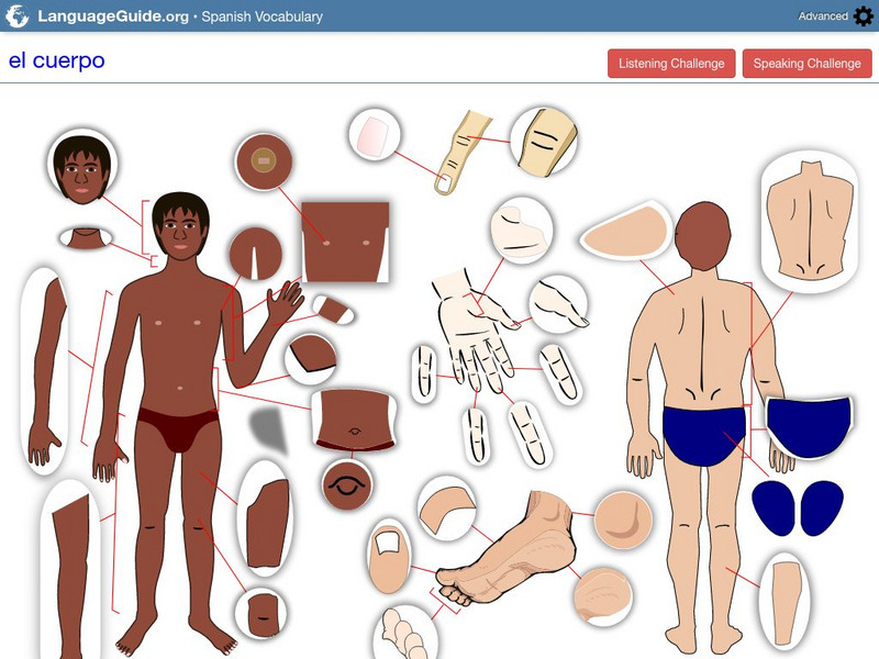 Language Guide: El Cuerpo Audio