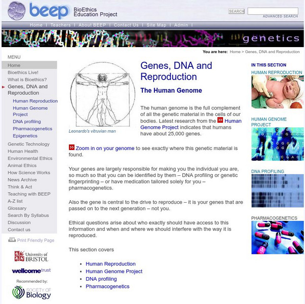 Bio Ethics Education Project (Beep): The Human Genome Website