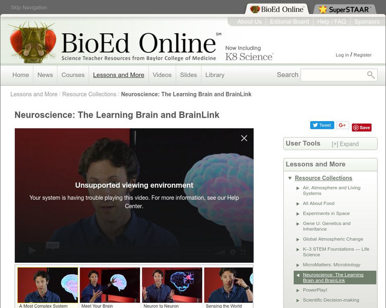 Bio Ed Online: The Learning Brain: Neuroscience Unit Plan Bio Ed Online: The Learning Brain: Neuroscience Unit Plan