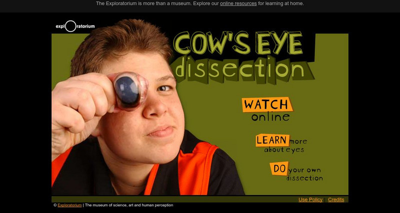 Exploratorium: Cow Eye Dissection Interactive Exploratorium: Cow Eye Dissection Interactive