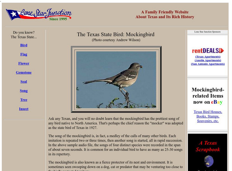 Lone Star Junction: The Texas State Bird: Mockingbird Handout Lone Star Junction: The Texas State Bird: Mockingbird Handout