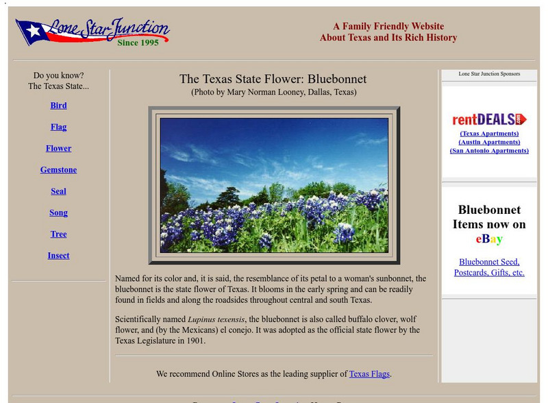 Lone Star Junction: The Texas State Flower: Bluebonnet Handout