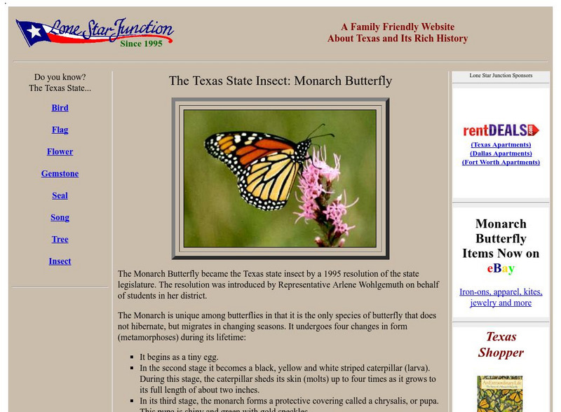 Lone Star Junction: The Texas State Insect: Monarch Butterfly Handout Lone Star Junction: The Texas State Insect: Monarch Butterfly Handout