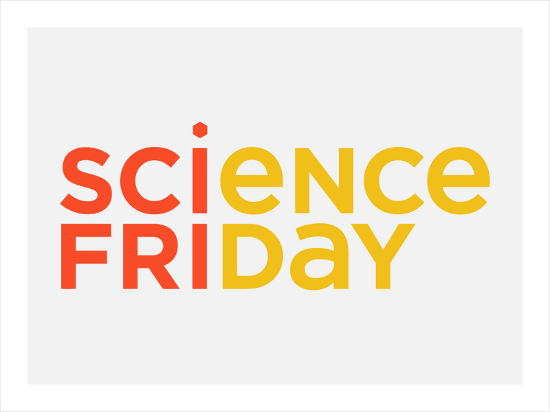 Science Friday: Creating Memories Audio