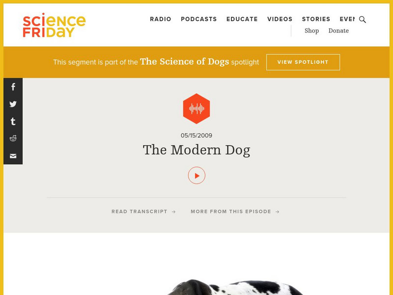 Science Friday: The Modern Dog Audio Science Friday: The Modern Dog Audio