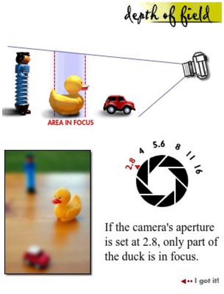 Minneapolis Institute of Arts: Depth of Field Graphic Minneapolis Institute of Arts: Depth of Field Graphic