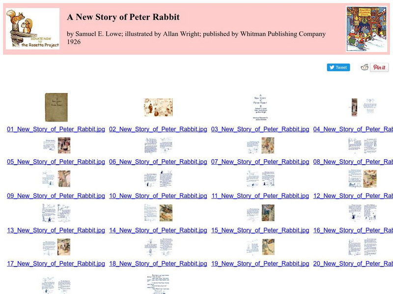Children's Books Online: A New Story of Peter Rabbit eBook