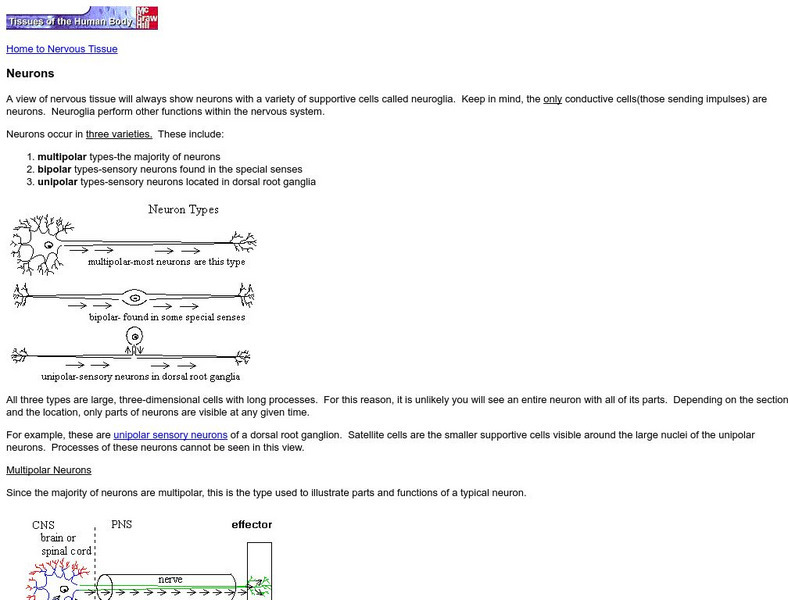 Mc Graw Hill: Neurons Handout Mc Graw Hill: Neurons Handout