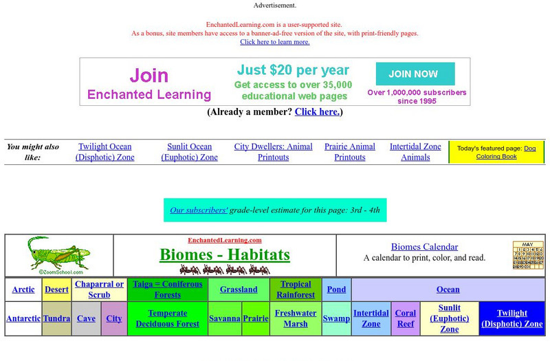 Enchanted Learning: The Intertidal Zone: Littoral Zone Animal Printouts Website