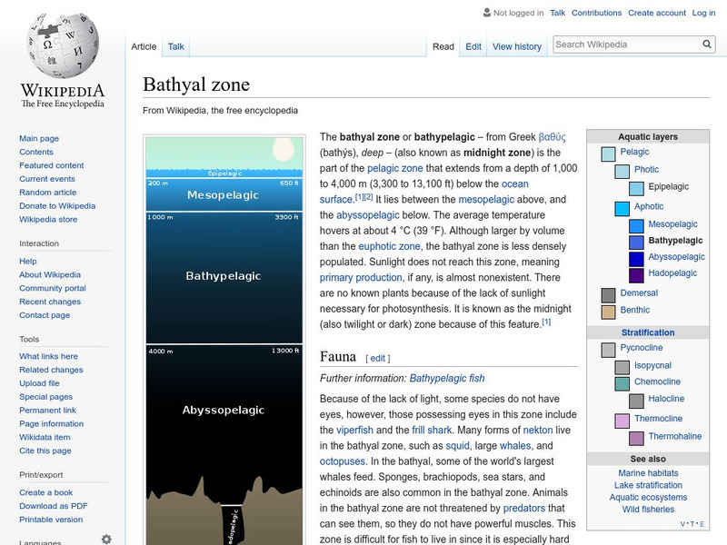 Wikipedia: Bathyal Zone Handout