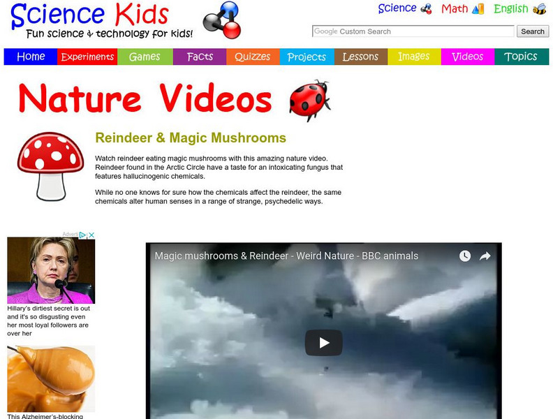 Science Kids: Nature Videos: Reindeer & Magic Mushrooms Instructional Video
