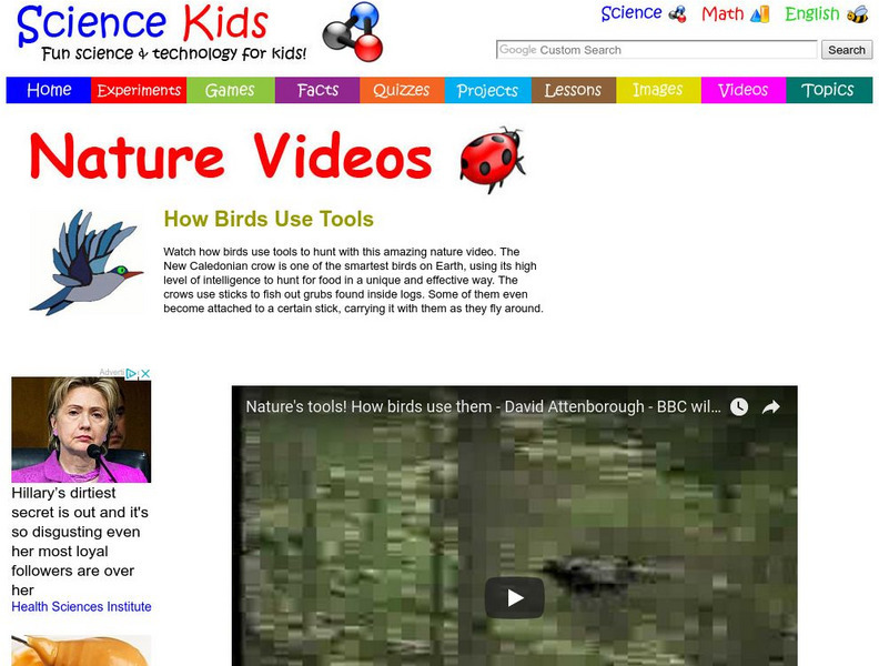 Science Kids: Nature Videos: How Birds Use Tools Instructional Video