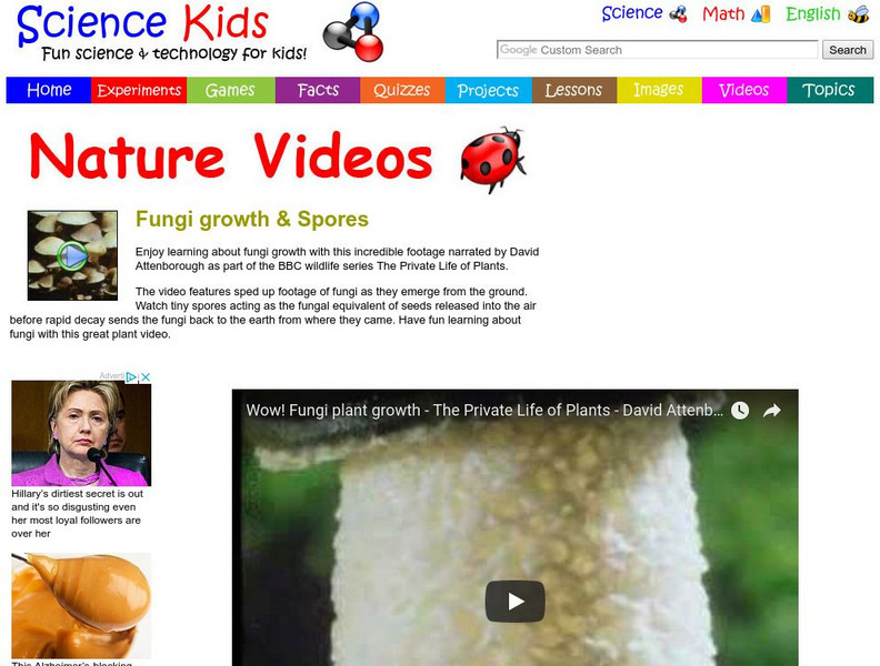 Science Kids: Nature Videos: Fungi Growth & Spores Instructional Video