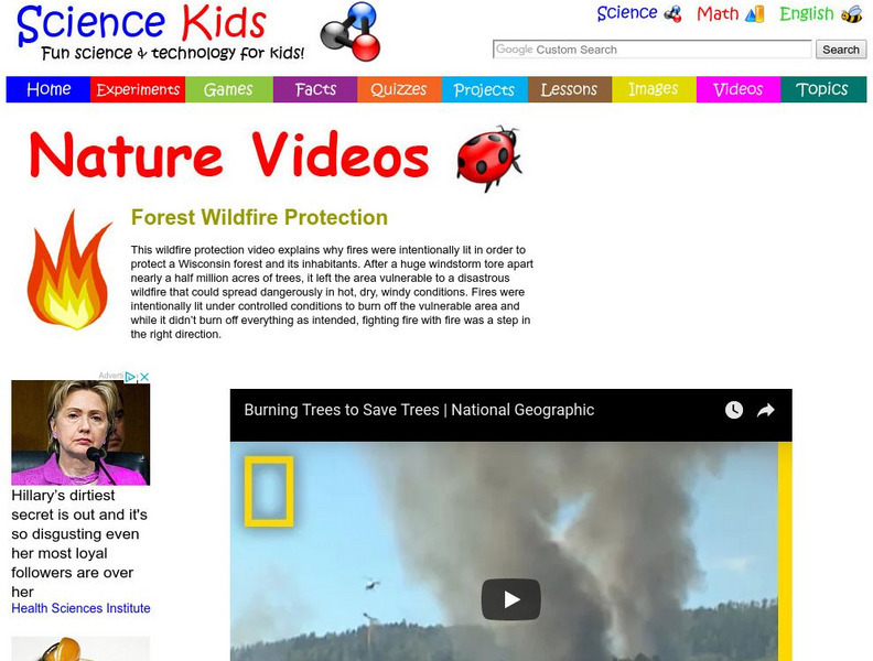 Science Kids: Nature Videos: Forest Wildfire Protection Instructional Video