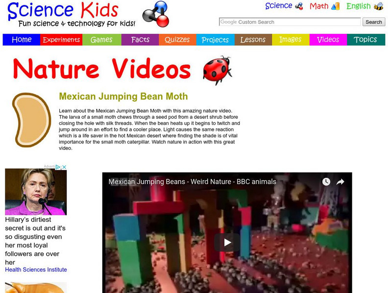 Science Kids: Nature Videos: Mexican Jumping Bean Moth Instructional Video