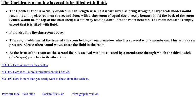 California State University: The Cochlea Handout