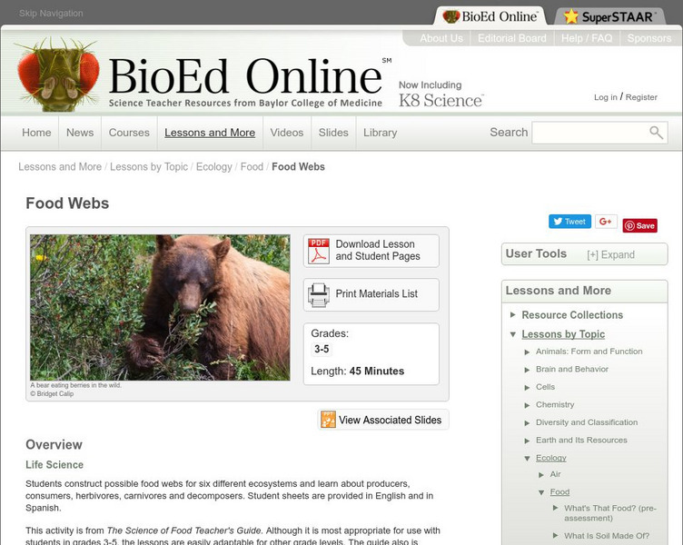 Bio Ed Online: Food Webs Lesson Plan Bio Ed Online: Food Webs Lesson Plan