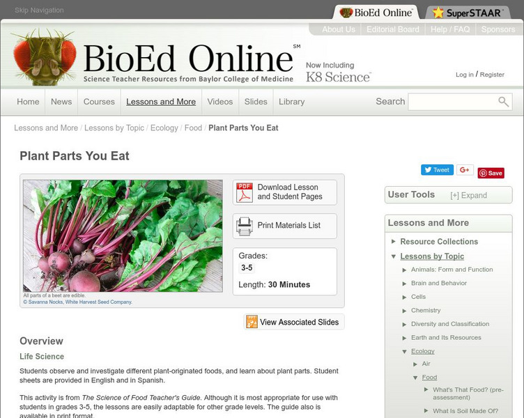 Bio Ed Online: Plant Parts You Eat Lesson Plan Bio Ed Online: Plant Parts You Eat Lesson Plan