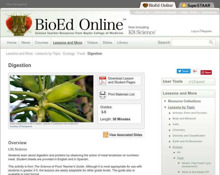 Bio Ed Online: Digestion Lesson Plan Bio Ed Online: Digestion Lesson Plan