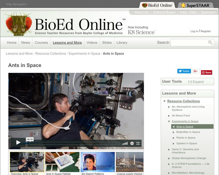 Bio Ed Online: Ants in Space Lesson Plan Bio Ed Online: Ants in Space Lesson Plan