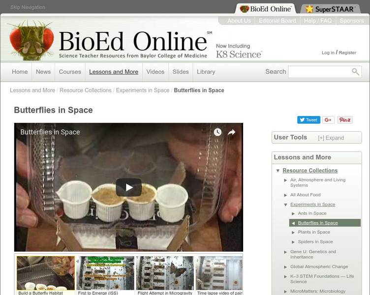 Bio Ed Online: Butterflies in Space Lesson Plan Bio Ed Online: Butterflies in Space Lesson Plan