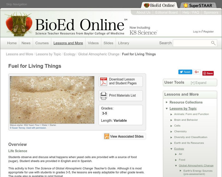 Bio Ed Online: Fuel for Living Things Lesson Plan Bio Ed Online: Fuel for Living Things Lesson Plan