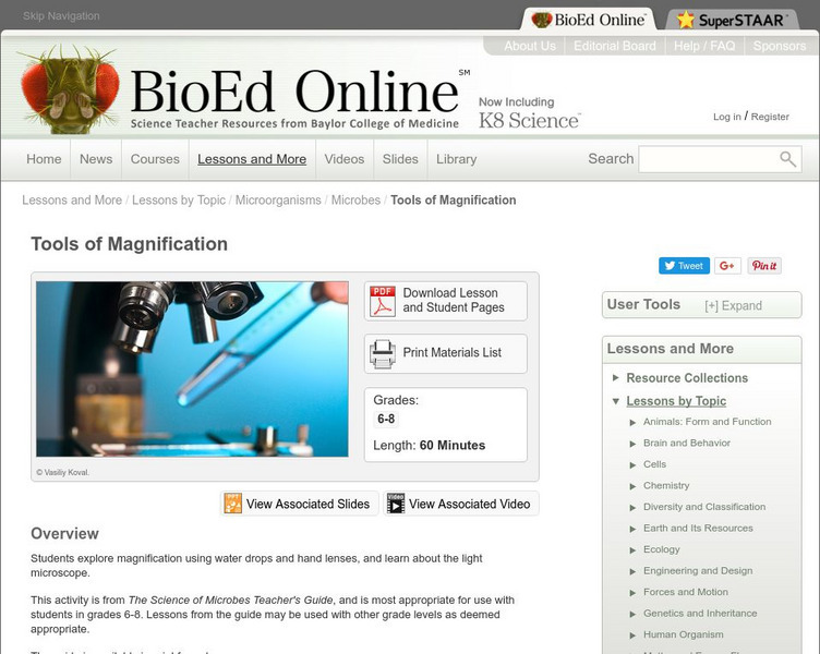 Bio Ed Online: The Science of Microbes: Tools of Magnification Lesson Plan Bio Ed Online: The Science of Microbes: Tools of Magnification Lesson Plan