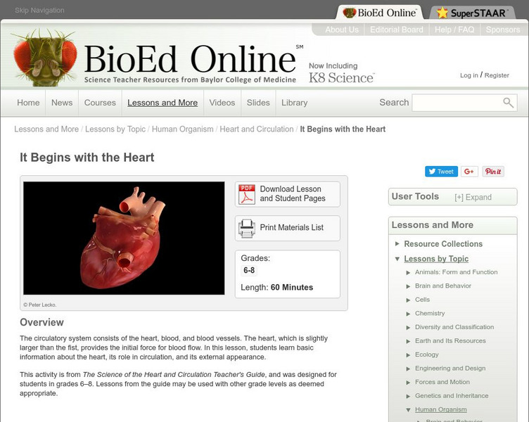 Bio Ed Online: It Begins With the Heart Lesson Plan Bio Ed Online: It Begins With the Heart Lesson Plan