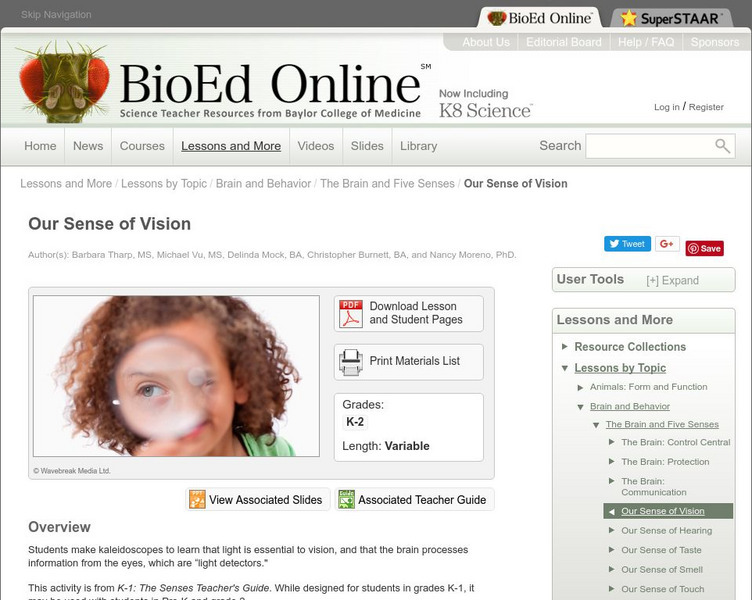 Bio Ed Online: Our Sense of Vision Lesson Plan Bio Ed Online: Our Sense of Vision Lesson Plan