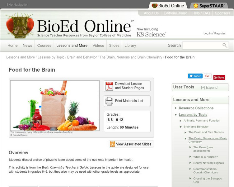 Bio Ed Online: Food for the Brain Lesson Plan Bio Ed Online: Food for the Brain Lesson Plan