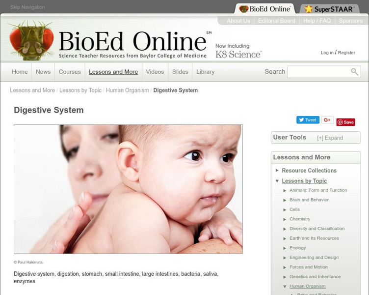 Bio Ed Online: Digestion Lesson Plan Bio Ed Online: Digestion Lesson Plan