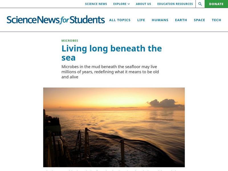 Science News for Students: Beneath the Sea Article Science News for Students: Beneath the Sea Article