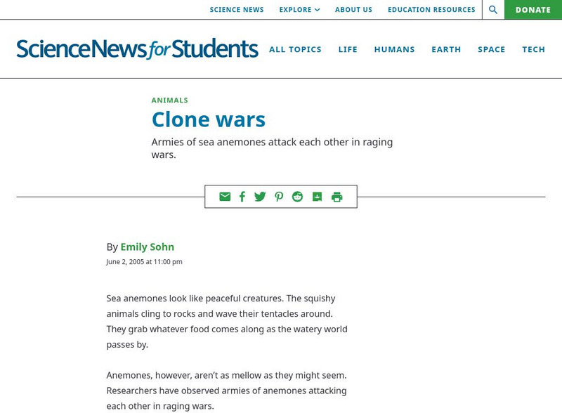 Science News for Students: Sea Anemone Clone Wars Article