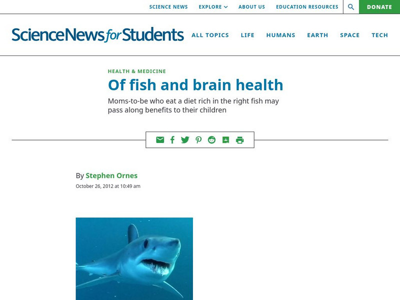 Science News for Students: Of Fish and Brain Health Article Science News for Students: Of Fish and Brain Health Article