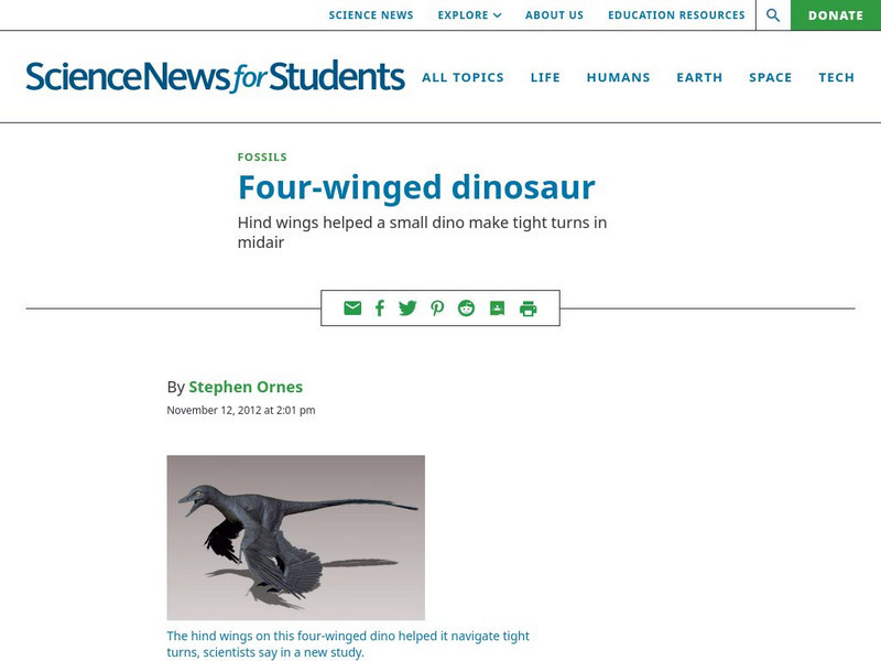 Science News for Students: Four Winged Dinosaur Article Science News for Students: Four Winged Dinosaur Article