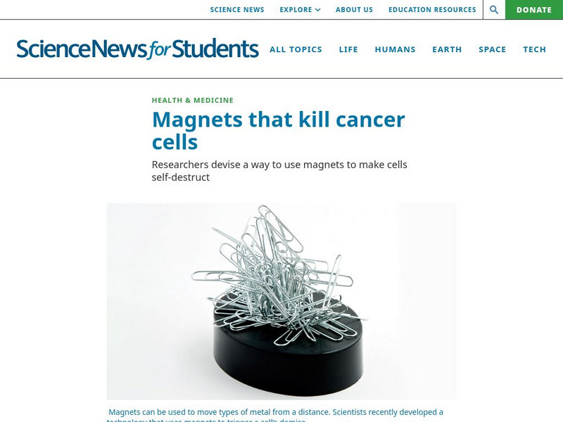 Science News for Students: Magnets That Kill Cancer Cells Article Science News for Students: Magnets That Kill Cancer Cells Article