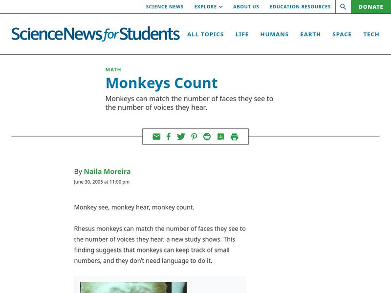 Science News for Students: Monkeys Count Article Science News for Students: Monkeys Count Article