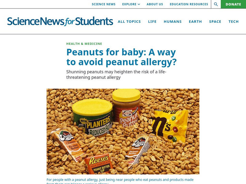 Science News for Students: Peanut for Baby: A Way to Avoid Allergy? Article Science News for Students: Peanut for Baby: A Way to Avoid Allergy? Article