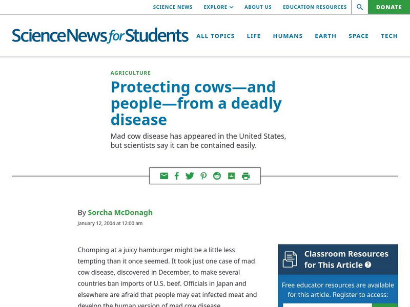 Science News for Students: Protecting Cows From a Disease Article