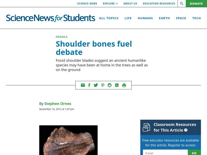 Science News for Students: Shoulder Bones Fuel Debate Article Science News for Students: Shoulder Bones Fuel Debate Article