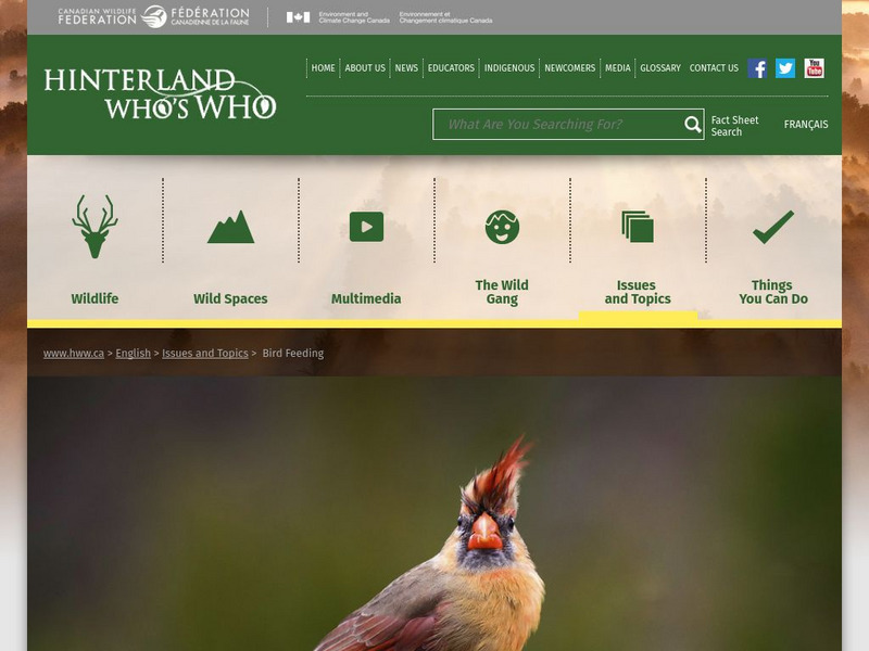 Hinterland Who's Who: Bird Feeding Website