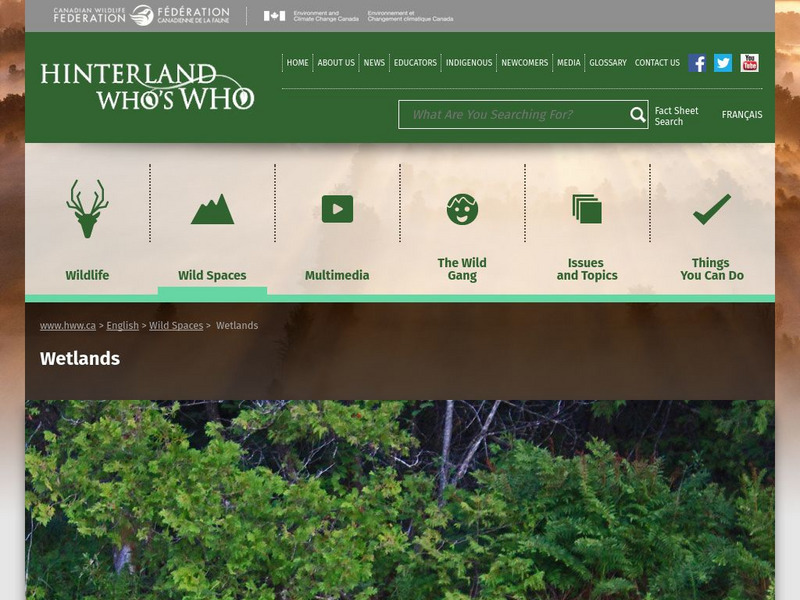 Hinterland Who's Who: Wetlands Website Hinterland Who's Who: Wetlands Website