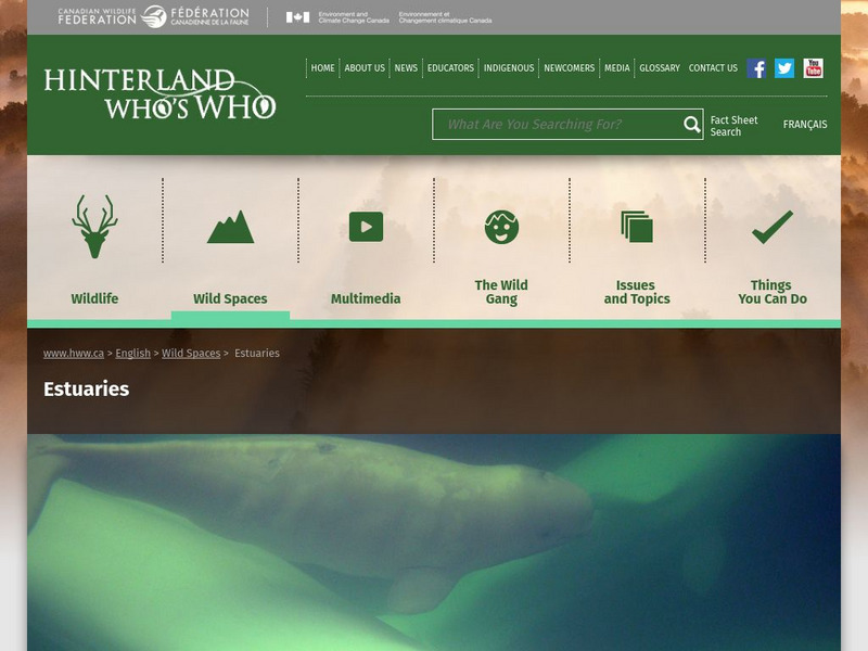 Hinterland Who's Who: Estuaries Website