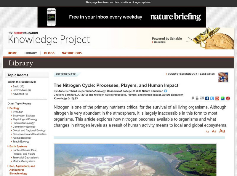 Nature: The Nitrogen Cycle: Processes, Players, and Human Impact Handout Nature: The Nitrogen Cycle: Processes, Players, and Human Impact Handout